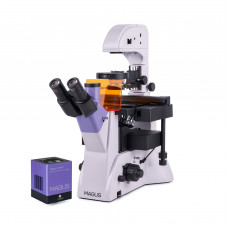 Микроскоп люминесцентный инвертированный цифровой MAGUS Lum VD500L, светодиод, камера CLM90